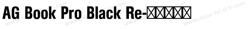 AG Book Pro Black Re字体转换